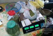 Павлоградец сделал у себя дома наркоферму