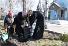 В Западном Донбассе высадили около 200 сакур