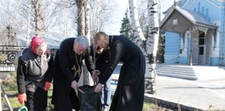 В Западном Донбассе высадили около 200 сакур