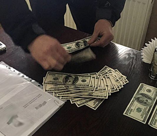 1 га земли в Павлоградcком районе коррупционер оценил в $600 (ФОТО)