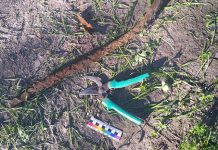 В Павлограде поймали вора кабеля