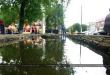 В Павлограде в фонтан запустили золотых рыбок (ВИДЕО)