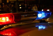 В Павлограде водитель «Lexus» сбил человека на пешеходном переходе … и скрылся