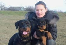 Для спасения жизни 33-летней павлоградки нужно собрать 150 тыс. грн