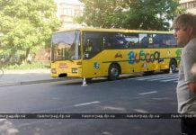 В Павлограде автобус сбил ребенка (ФОТО и ВИДЕО)