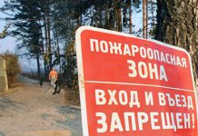 Павлоградцев будут штрафовать за автопрогулки по лесу