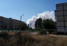 В Павлограде горит лес (ОБНОВЛЯЕТСЯ)