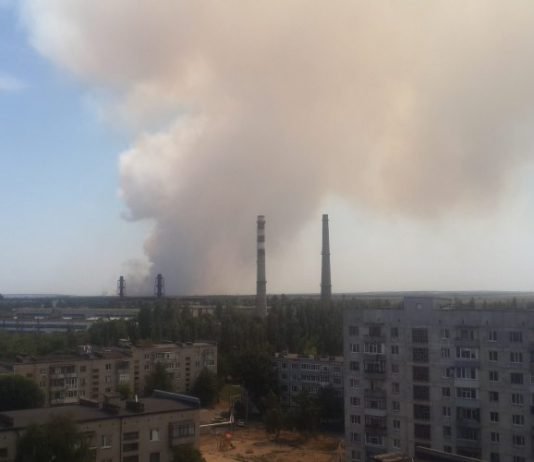Павлоградцев напугал дым над городом: горит Петропавловский лес (ФОТО)