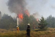 Из-за пожара у женщины чуть не случился инсульт