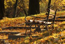 В Павлограде закупают парковых лавочек на 73 тыс. грн