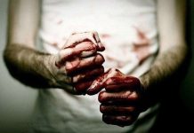 В Павлограде женщина нашла изрезанный труп (ФОТО)