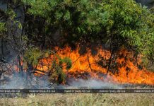 Из-за лесных пожаров Павлоградщина может остаться без детских лагерей