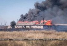 В Павлограде сгорела брошенная свиноферма