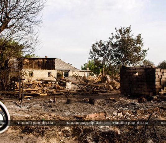 В Павлограде сгорело почти 100 га леса: ситуация на утро 22 августа (ФОТОРЕПОРТАЖ)