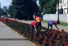 В Павлограде школьникам, которые летом работали, подарят флешки и грамоты