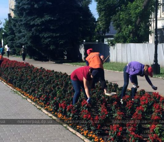 В Павлограде школьникам, которые летом работали, подарят флешки и грамоты