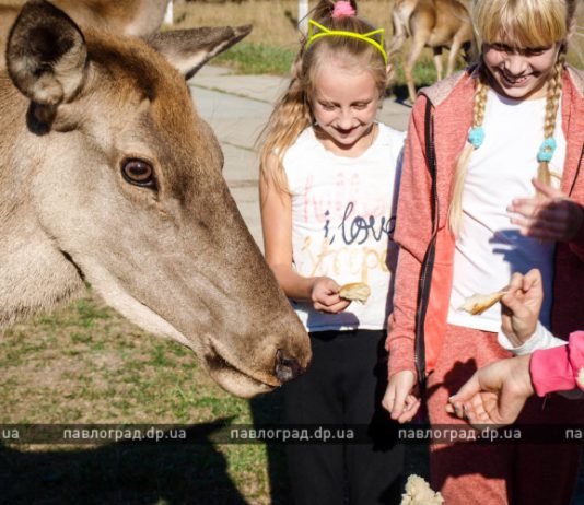 Что посмотреть в Павлограде? Знакомство с дикими животными и поручиком Ржевским (ФОТО и ВИДЕО)