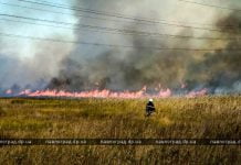 В Павлограде спасают от огня птицеферму