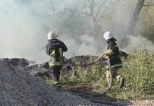 В городском парке Павлограда загорелся мусор (ФОТОФАКТ)