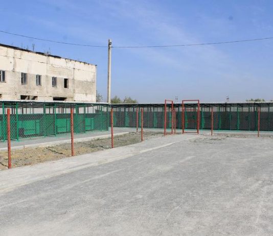 В Павлограде построили приют для бездомных животных (ФОТО)
