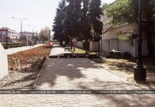 В Павлограде Аллею Славы приводят в порядок ко Дню города