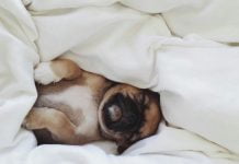 В Павлограде могут отключить тепло даже во время морозов