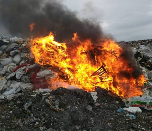 В Павлограде опять горела свалка (ФОТОФАКТ)