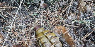 Грибник нашел в лесу гранату (ФОТОФАКТ)