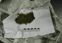 Павлоградец хранил дома белый порошок и травку (ВИДЕО)