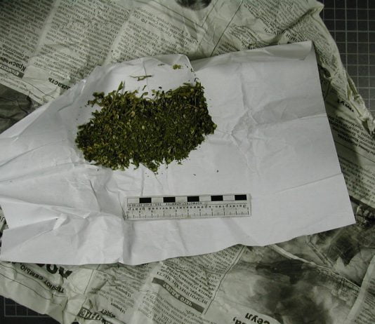 Павлоградец хранил дома белый порошок и травку (ВИДЕО)