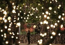 К Новому году центр Павлограда украсят новой иллюминацией