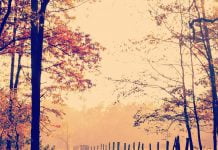 Самые красивые фото осени в Павлограде. Подсмотрено в Instagram