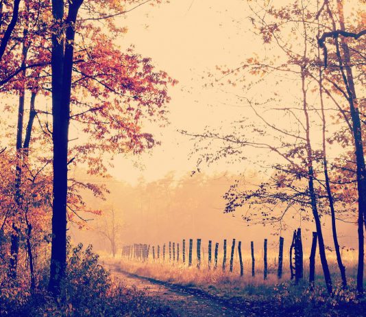 Самые красивые фото осени в Павлограде. Подсмотрено в Instagram