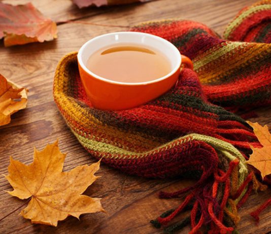 Мед, витамины и хорошая книга: что спасет вас от осенней простуды?