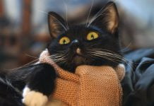 Сегодня в Павлограде обещают запустить котельные