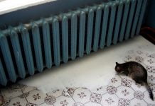 Павлограду грозит холодомор?