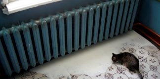 Павлограду грозит холодомор?