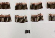 Идем на рекорд: у терновчанина изъяли 84 патрона