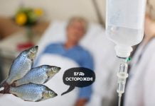 В Павлограде зафиксировали случай ботулизма