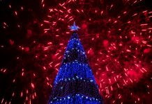 Стало известно, как в Павлограде пройдет празднование Нового года