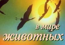 «Люди, не грабьте собственный город!». В Павлограде участились случаи уличного вандализма