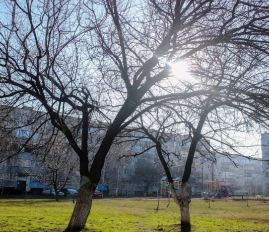 В Павлограде создали новое коммунальное предприятие