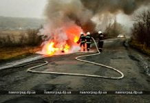 На Павлоградщине сгорела иномарка