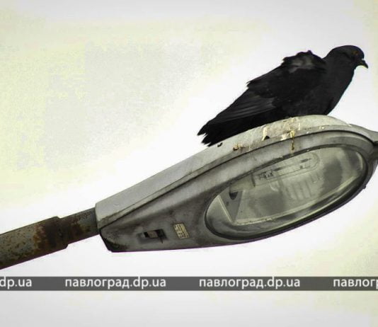 На бульваре в центре Павлограда заменили освещение (ФОТОФАКТ)