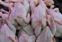 Оголошено запис на отримання м’яса птиці для ВПО