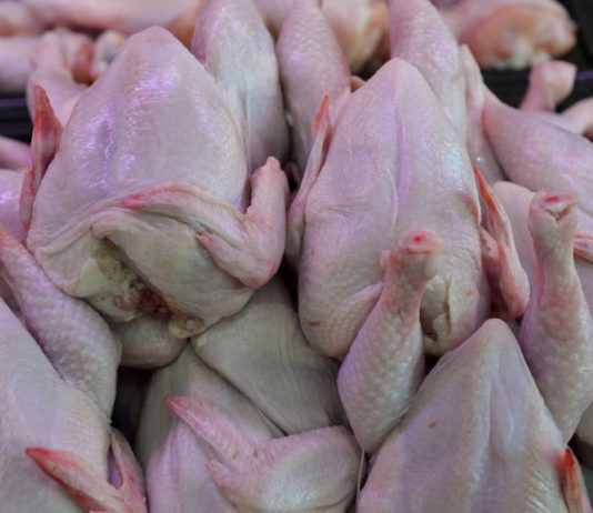 Оголошено запис на отримання м’яса птиці для ВПО