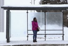 Новая петиция: павлоградцы просят обустроить остановку на ул. Днепровской