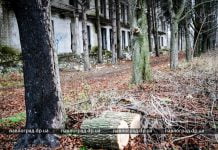 На поселке Химзавод неизвестные выпиливают посадку вблизи профилактория (ФОТОРЕПОРТАЖ)