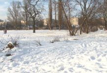 В Павлограде украли забор одной из школ