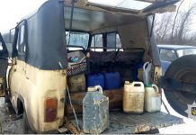 На Юрьевщине задержали местных жителей, которые рубили лес